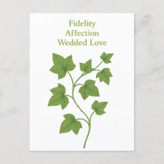 Ivy — Fidelity, affection, wedded love Invitation Postcard