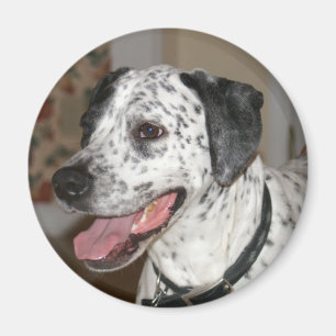 Ivy Magnet