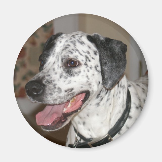 Ivy Magnet (Front)