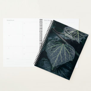 Ivy Nature Photo Planner
