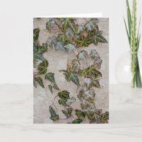 Ivy on Tree Trunk
