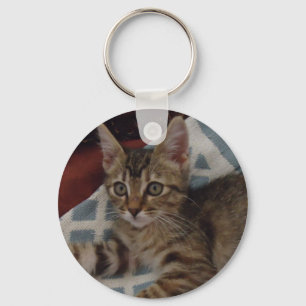 Ivy the tabby kitten key ring