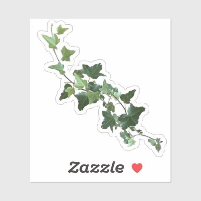 Ivy Vine Leaves  (Sheet)