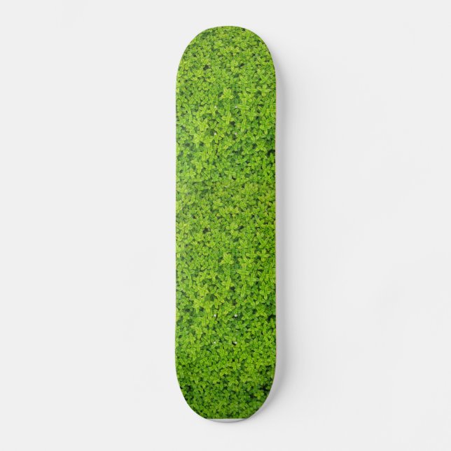 Ivy Wall Background Skateboard (Front)