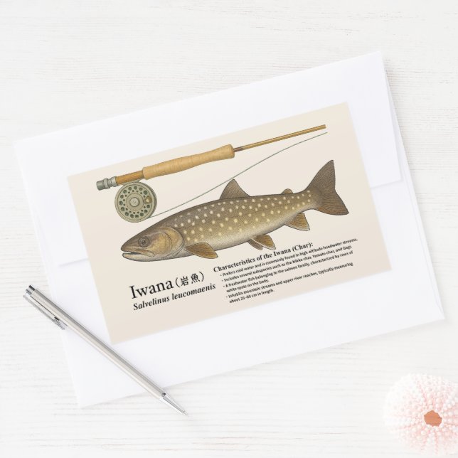 Iwana (Salvelinus leucomaenis) – English Illust Rectangular Sticker (Envelope)