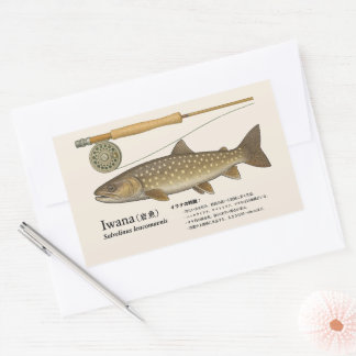 Iwana (Salvelinus leucomaenis) – Japanese Illust Rectangular Sticker
