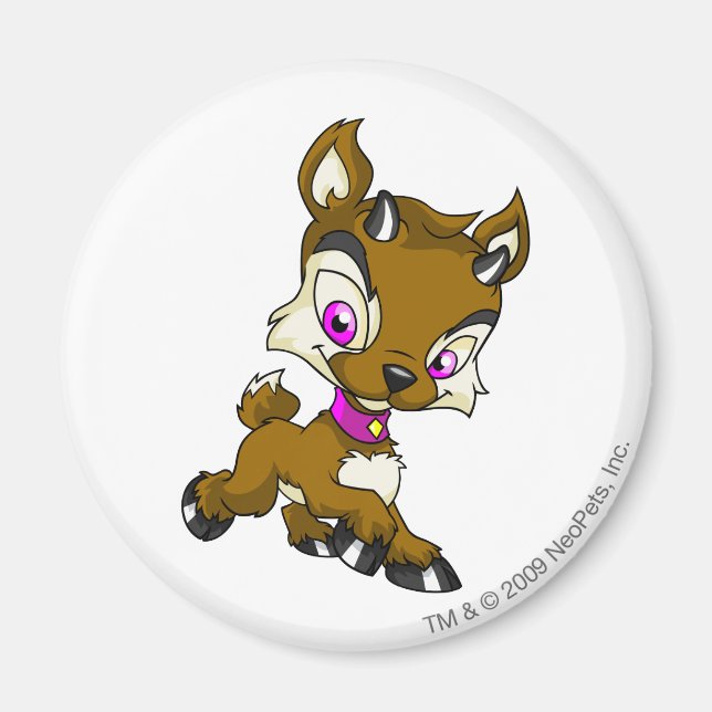 Ixi Brown Magnet (Front)