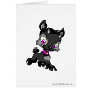 Ixi Shadow