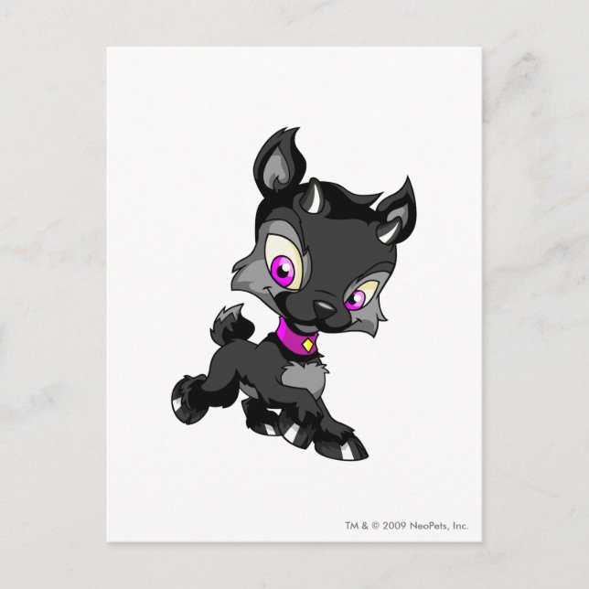 Ixi Shadow Postcard (Front)