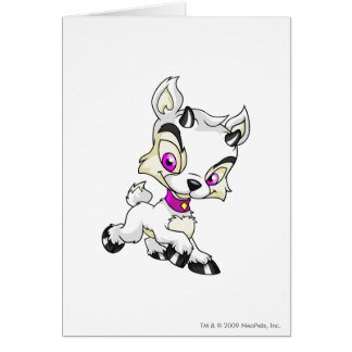 Ixi White