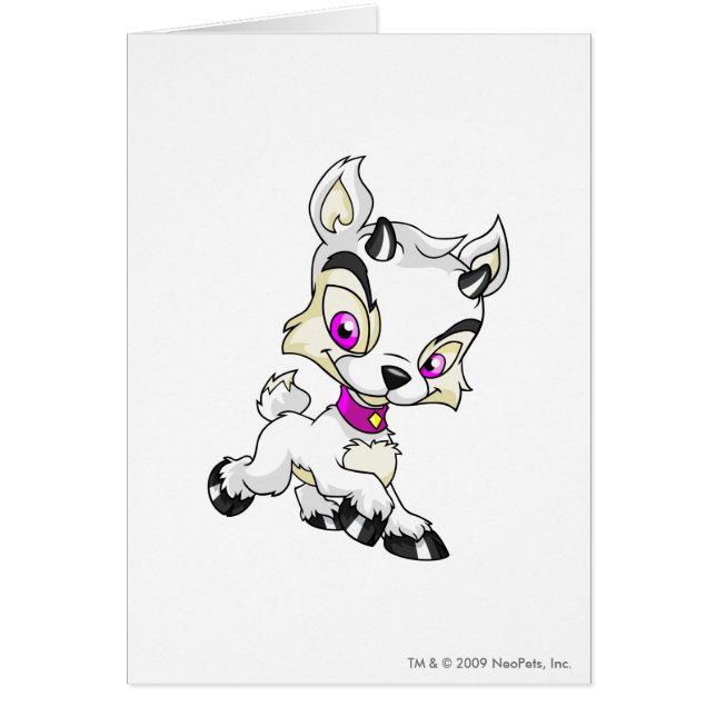 Ixi White (Front)
