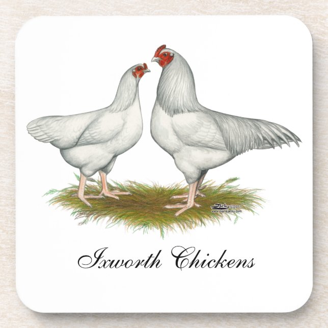 Ixworth Chickens Coaster (Front)