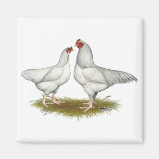 Ixworth Chickens Magnet