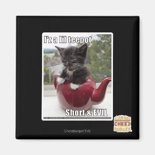 I'z a lil teepot magnet
