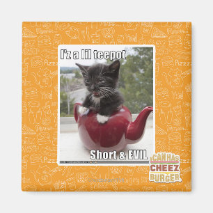 I'z a lil teepot magnet