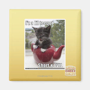 I'z a lil teepot magnet