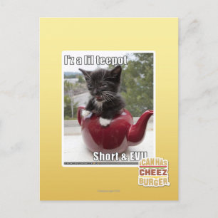 I'z a lil teepot postcard