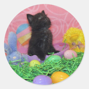 Iz Da Easter Bunny Here Yet - Cat / Kitten Sticker