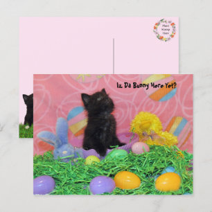 Iz Da Easter Bunny Here Yet? Easter Postcard