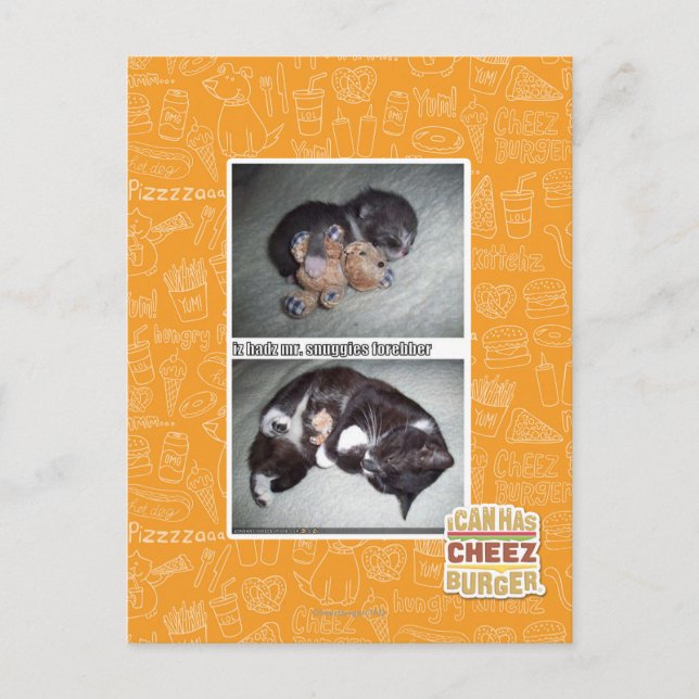 iz hadz mr. snuggies forebber postcard (Front)