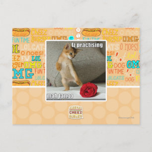 Iz practising mah tango postcard