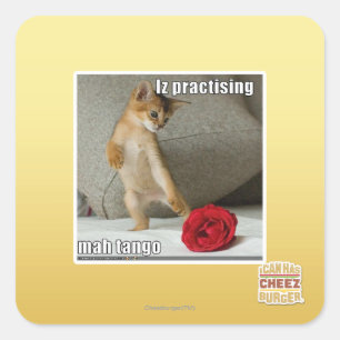Iz practising mah tango square sticker