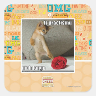 Iz practising mah tango square sticker