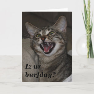 Iz ur burfday? humourous photo birthday card