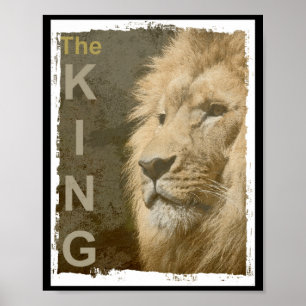Ize Modern Elegant P Art Lion Head Black Poster