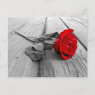 j0440294 postcard