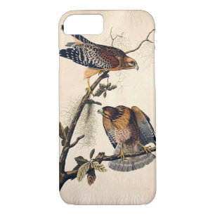 J.. Audubon (Red Shouldered Hawk) (1829) Case-Mate iPhone Case