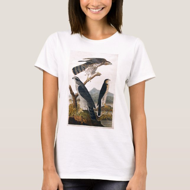 J.J. Audubon (Goshawk, Stanley Hawk) (1829) T-Shirt (Front)