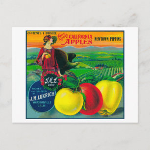 J.M.L. Apple Crate LabelWatsonville, CA Postcard