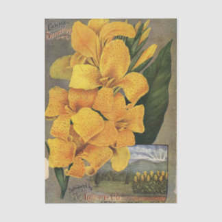 J.T. Lovett & Co 1896 Vintage Seed Catalogue Flowe Tissue Paper