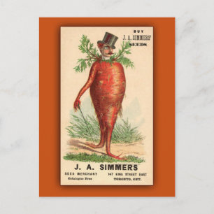 JA Simmers Seeds Vintage Ad Postcard