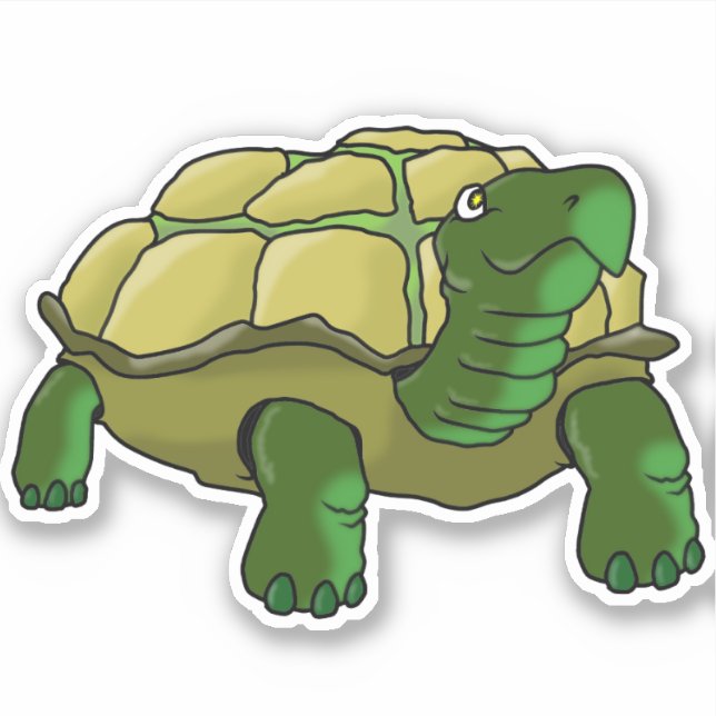 Ja-Turtle (Front)