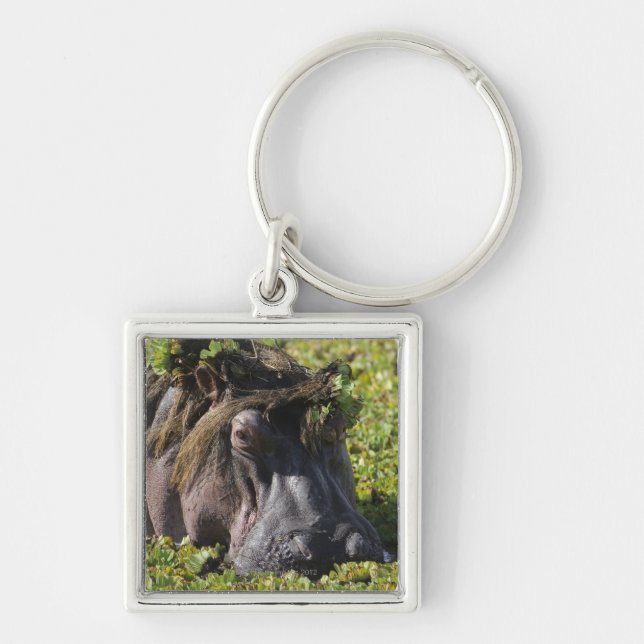 Jacana standing on hippo's (Hippopotamus Key Ring (Front)