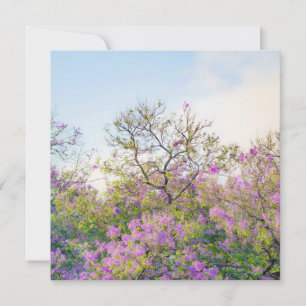 Jacaranda Blossom, dreamy pastel spring Card