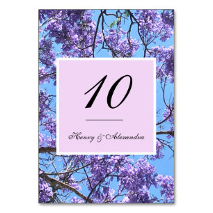 Jacaranda Blossoms Table Number