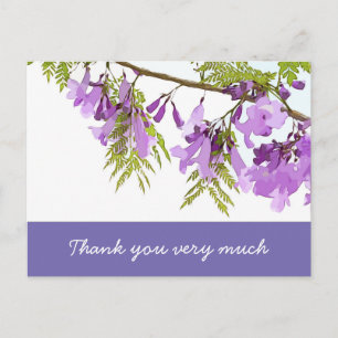 Jacaranda flowers in blooming flowers purple postcard