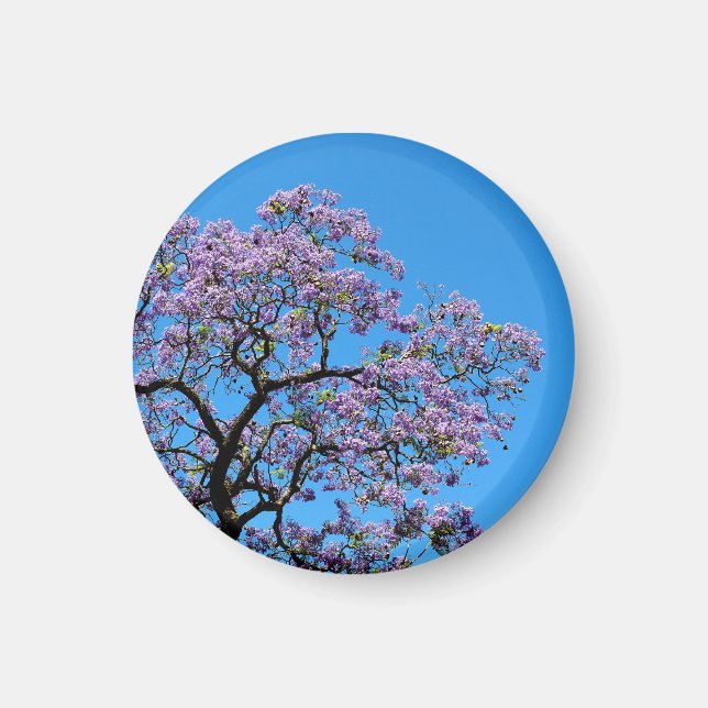 Jacaranda Magnet (Front)