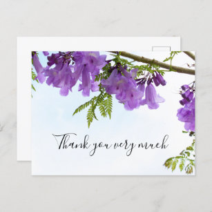 Jacaranda Purple Flowers  Australia on the tree    Postcard
