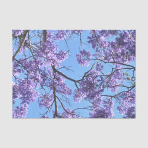 Jacaranda Tissue Paper
