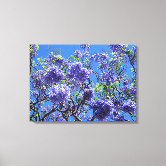 Jacaranda Tree Canvas Print (Front)