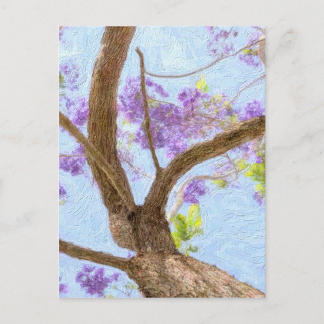 Jacaranda Tree Postcard (Front)
