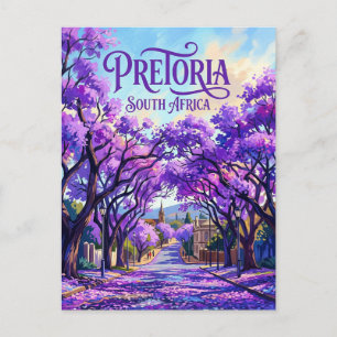 Jacaranda Trees of Pretoria South Africa Postcard