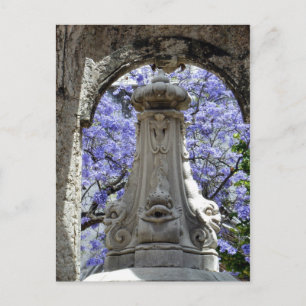 Jacarandi Postcard