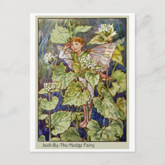 Jack-By-The-Hedge Fairy Postcard