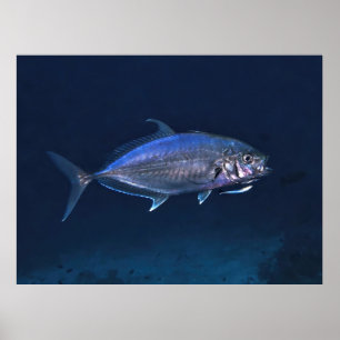 Jack Cleaning Poster