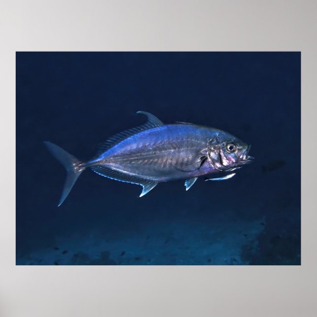 Jack Cleaning Poster (Front)